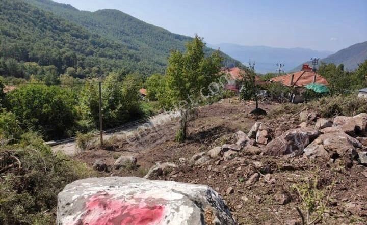Muğla Köyceğiz Yayla Mah 560 M2 Arsa Satılık - Görsel 2