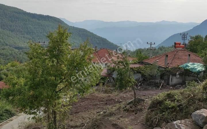 Muğla Köyceğiz Yayla Mah 560 M2 Arsa Satılık - Görsel 9