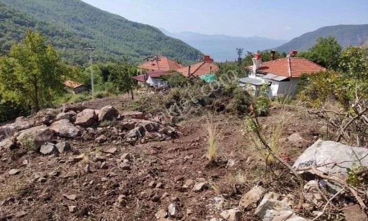 Muğla Köyceğiz Yayla Mah 570 M2 Arsa Satılık - Görsel 3