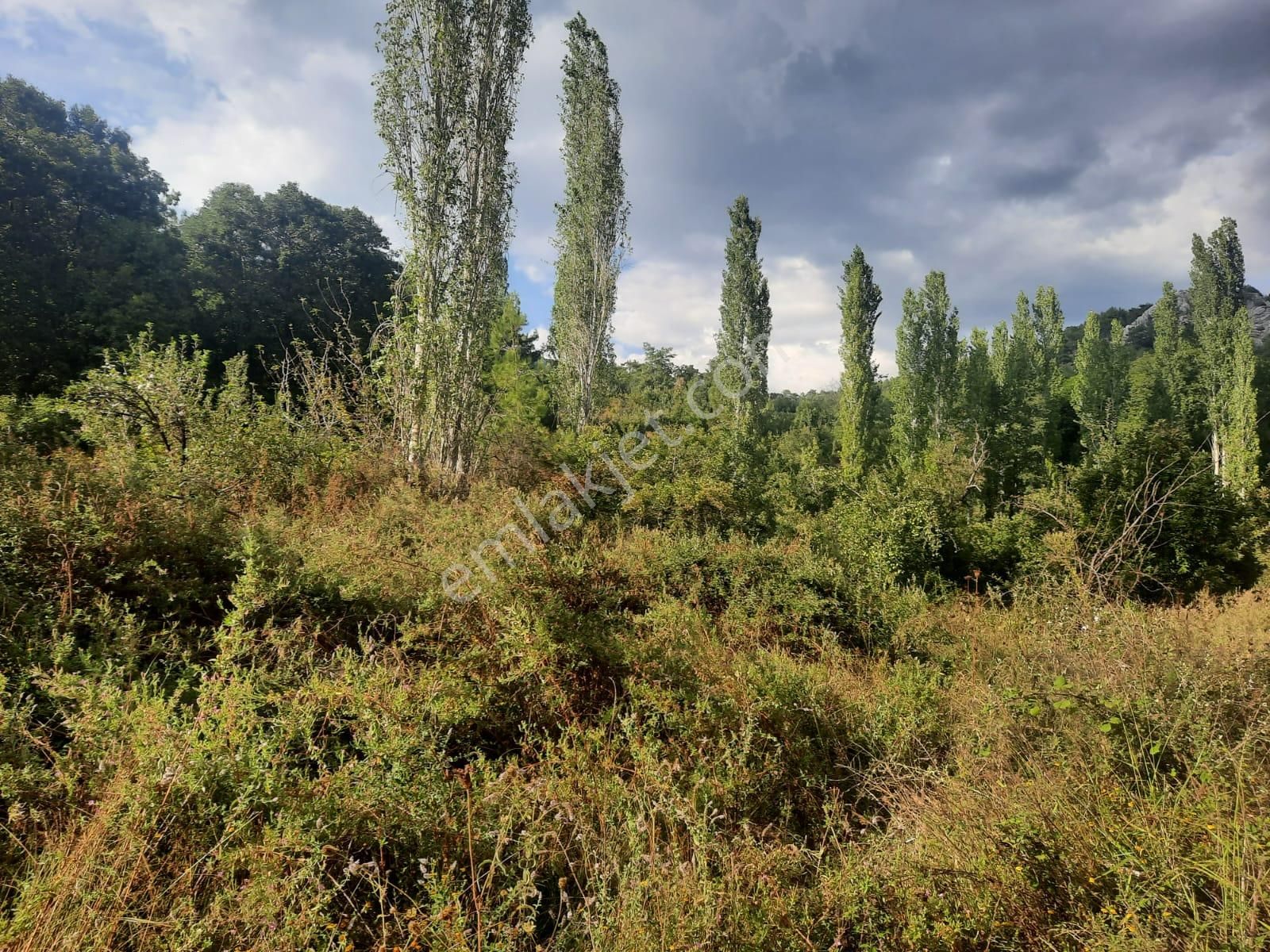 Muğla Köyceğiz Yayla Mah 795 M2 İmarlı Arsa Satılık - Görsel 4