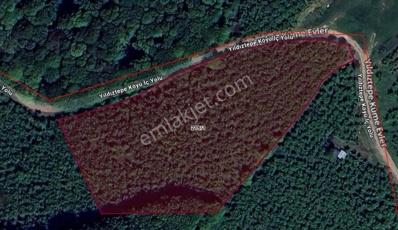 Elite Gd & Düzce Gümüşova Yıldıztepe 1935 M2 Yetişkin Fındık Bah - Görsel 5