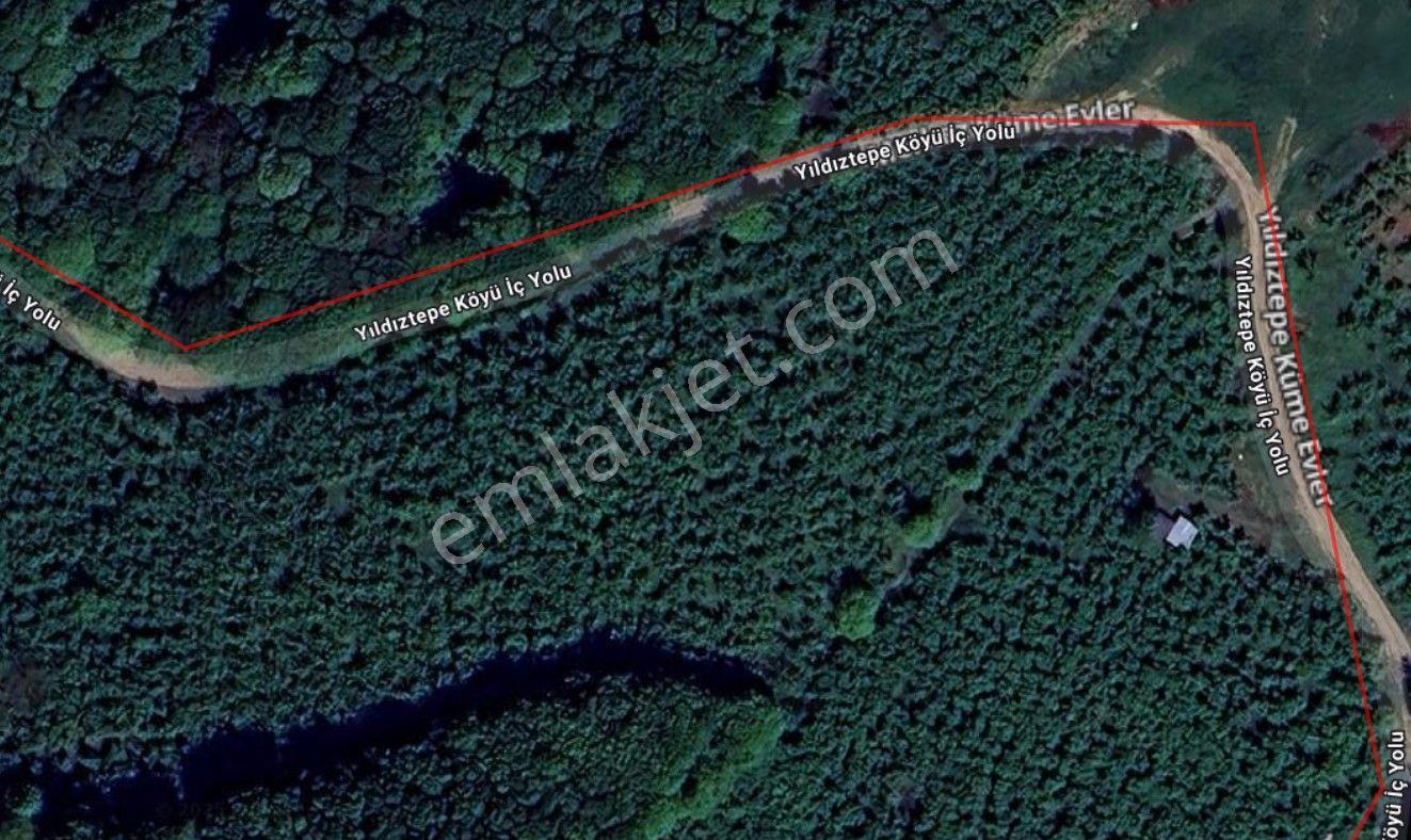 Elite Gd & Düzce Gümüşova Yıldıztepe 1935 M2 Yetişkin Fındık Bah - Görsel 2