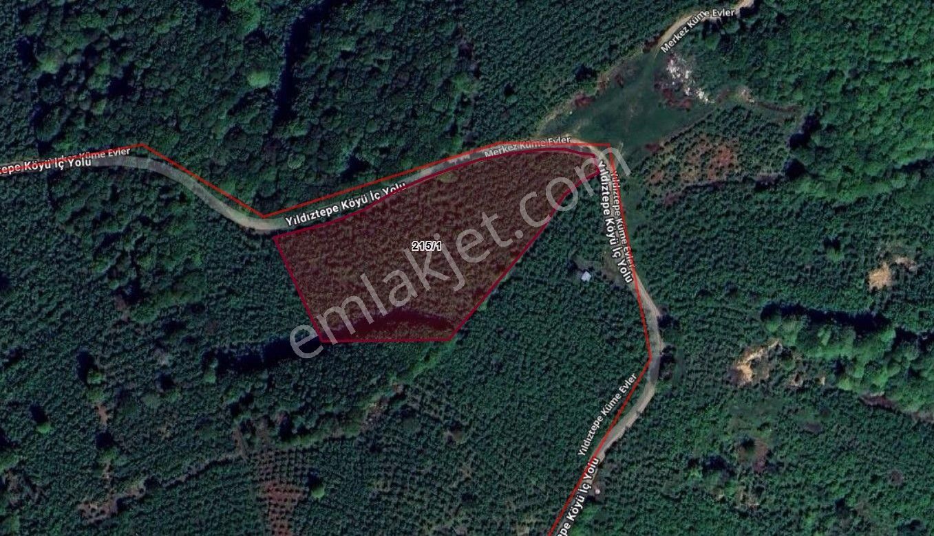 Elite Gd & Düzce Gümüşova Yıldıztepe 1935 M2 Yetişkin Fındık Bah