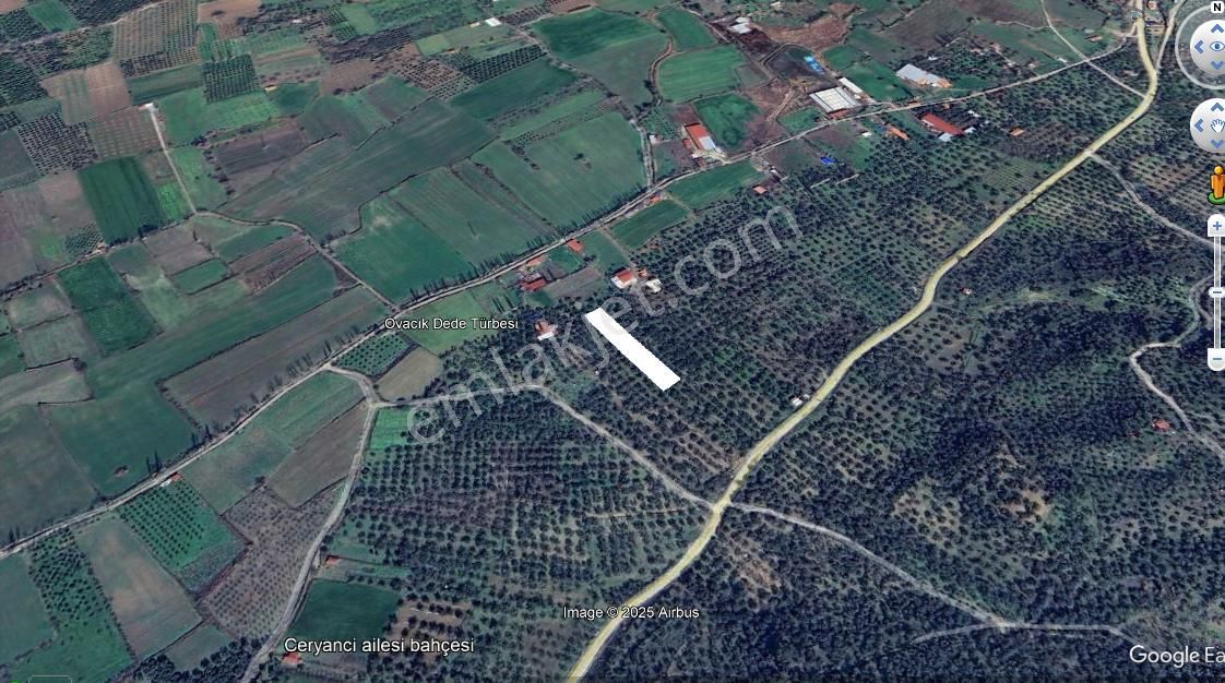 Havran Büyükderede Satılık 2.499 M2 Zeytinlik - Görsel 3