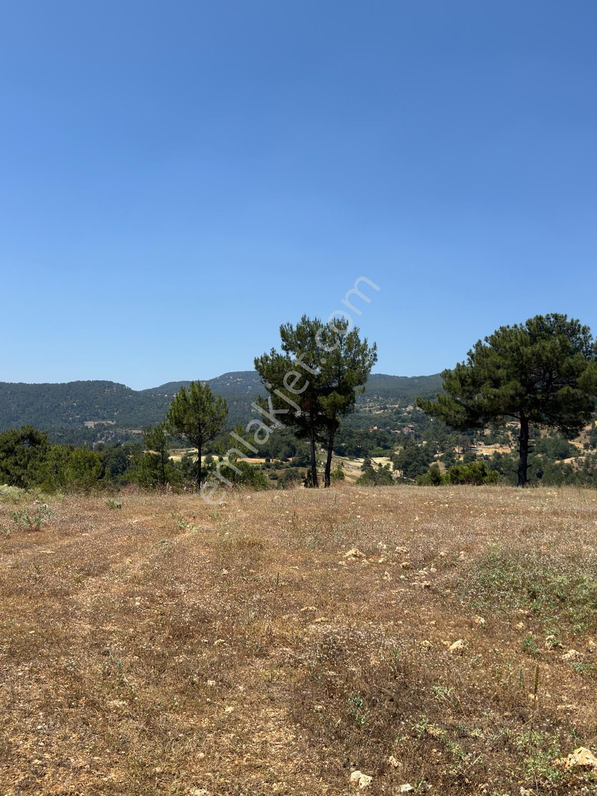 Hayal Gayrimenkulden Yatırımlık 2624 M2 Tarla