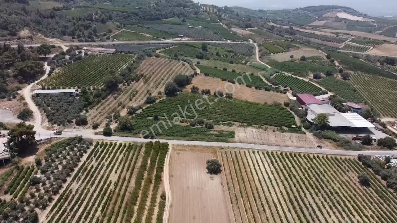 Ra Gayrimenkul Sucular Gökbögüren Mevkiinde Satılık Üzüm Bağı