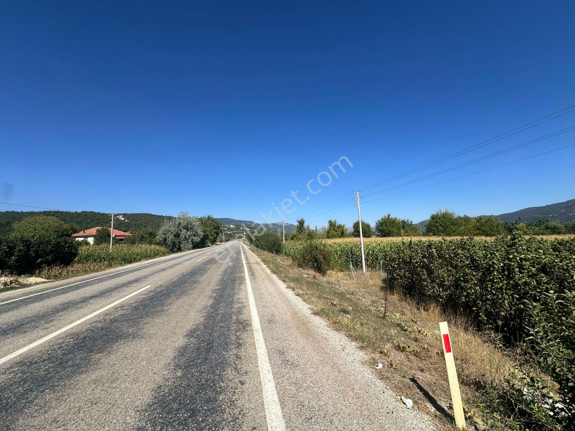 Denizli Çameli De Anayol Kenarı 3070 M2 Ceviz Bahçesi Satılık - Görsel 4