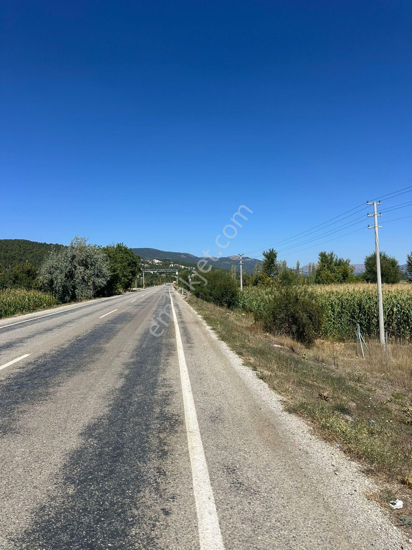 Denizli Çameli De Anayol Kenarı 3070 M2 Ceviz Bahçesi Satılık - Görsel 3