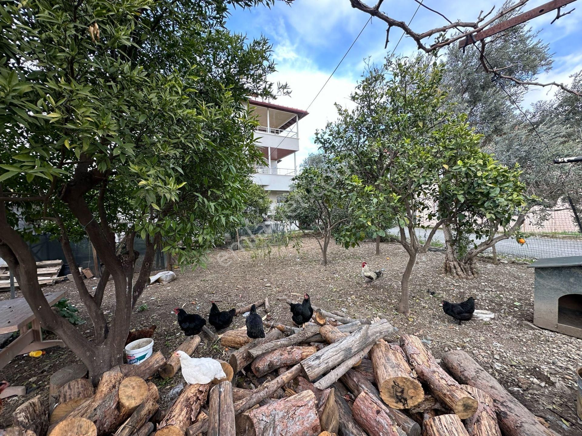 Ortaca Cumhuriyet Mah. 357 M2 Arsa İçinde 3 Katlı Ev Komple Satılık - Görsel 2