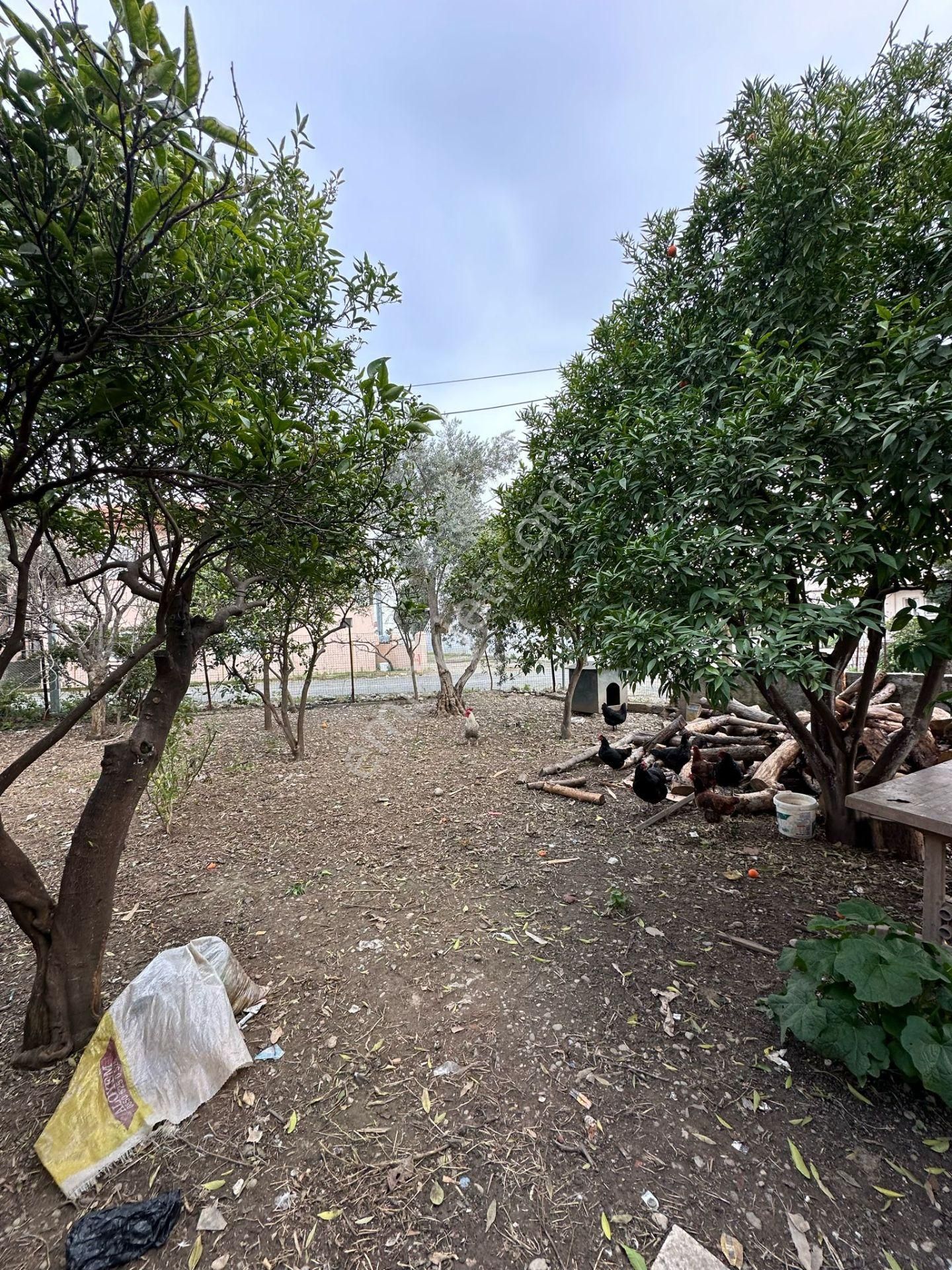 Ortaca Cumhuriyet Mah. 357 M2 Arsa İçinde 3 Katlı Ev Komple Satılık - Görsel 7