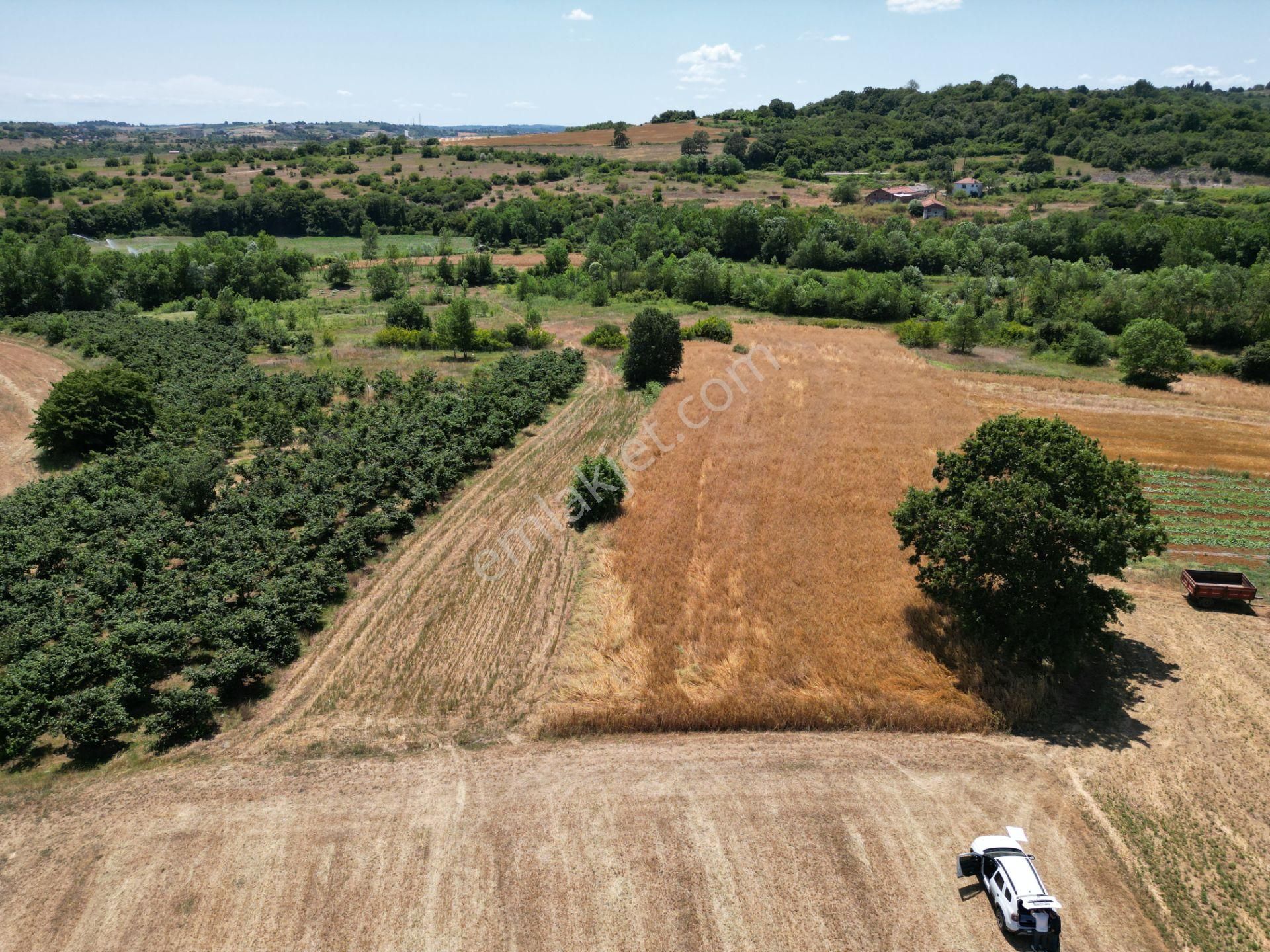 Kandıra Merkeze 5 Dakika Mesafede Yerleşim Kenarı 5839 M2 Tarla