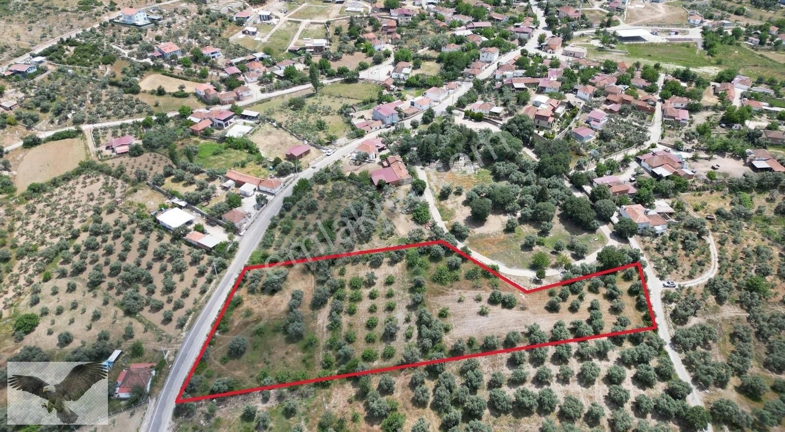 Menderes Gölova Da Köyiçinde Tek Tapu Satılık 7.039 M2 Tarla