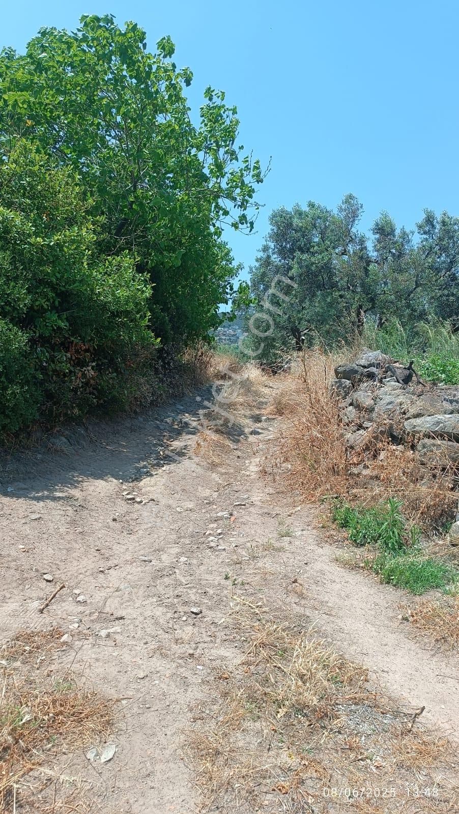 Balıkesir Erdek Hamamlı Mah. 5927 M2 Satılık Zeytinlik Deniz Manzaralı - Görsel 2