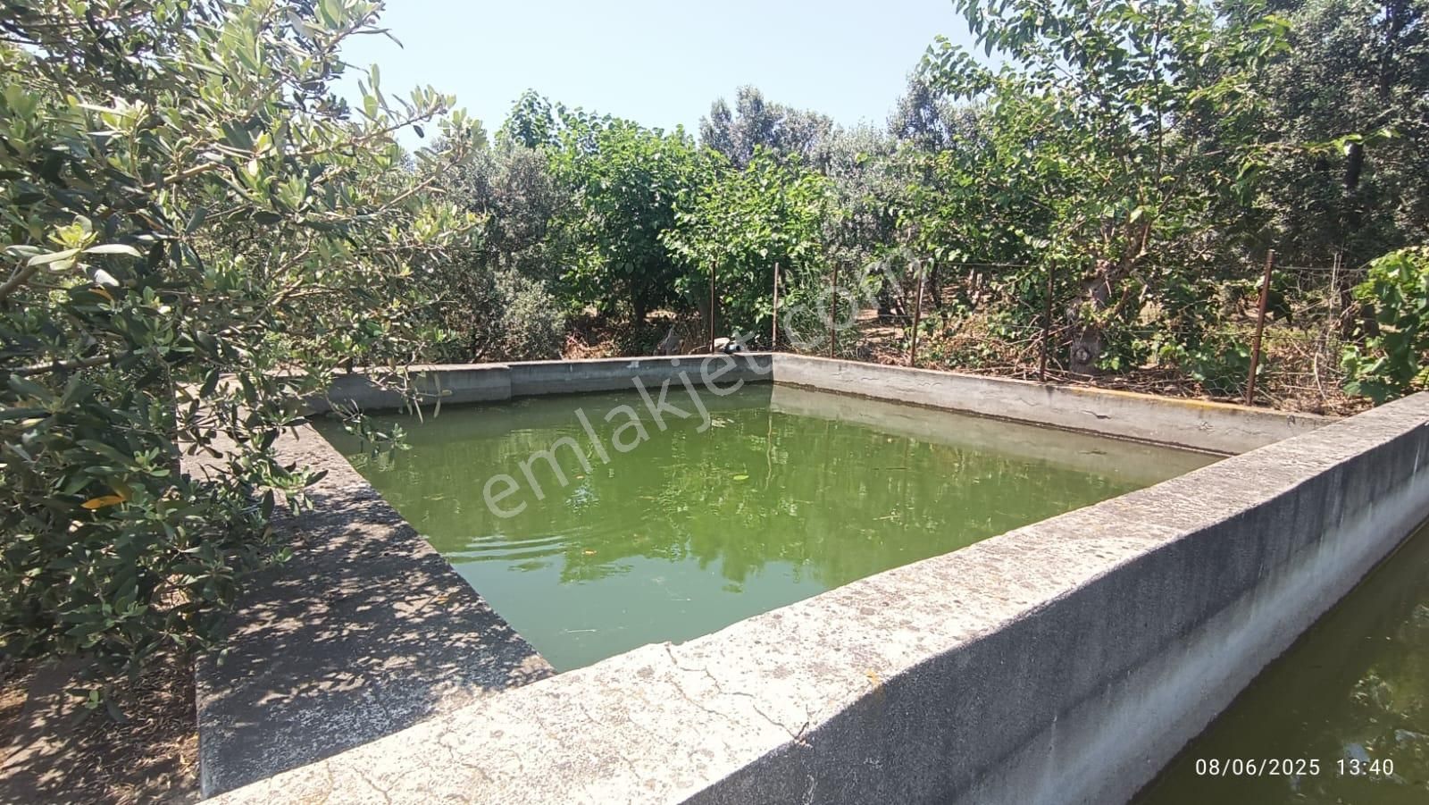 Balıkesir Erdek Hamamlı Mah. 5927 M2 Satılık Zeytinlik Deniz Manzaralı - Görsel 9
