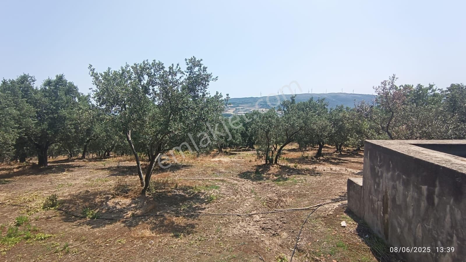 Balıkesir Erdek Hamamlı Mah. 5927 M2 Satılık Zeytinlik Deniz Manzaralı - Görsel 13