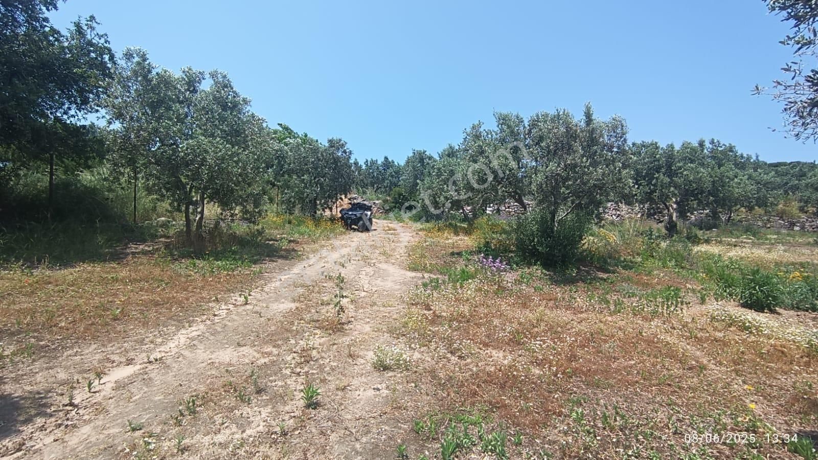 Balıkesir Erdek Hamamlı Mah. 5927 M2 Satılık Zeytinlik Deniz Manzaralı - Görsel 35