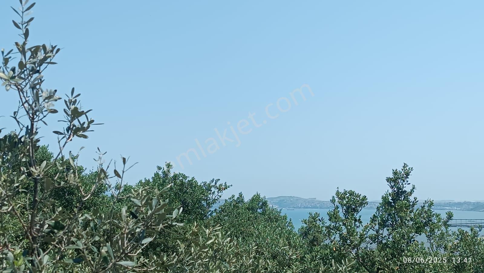 Balıkesir Erdek Hamamlı Mah. 5927 M2 Satılık Zeytinlik Deniz Manzaralı - Görsel 8