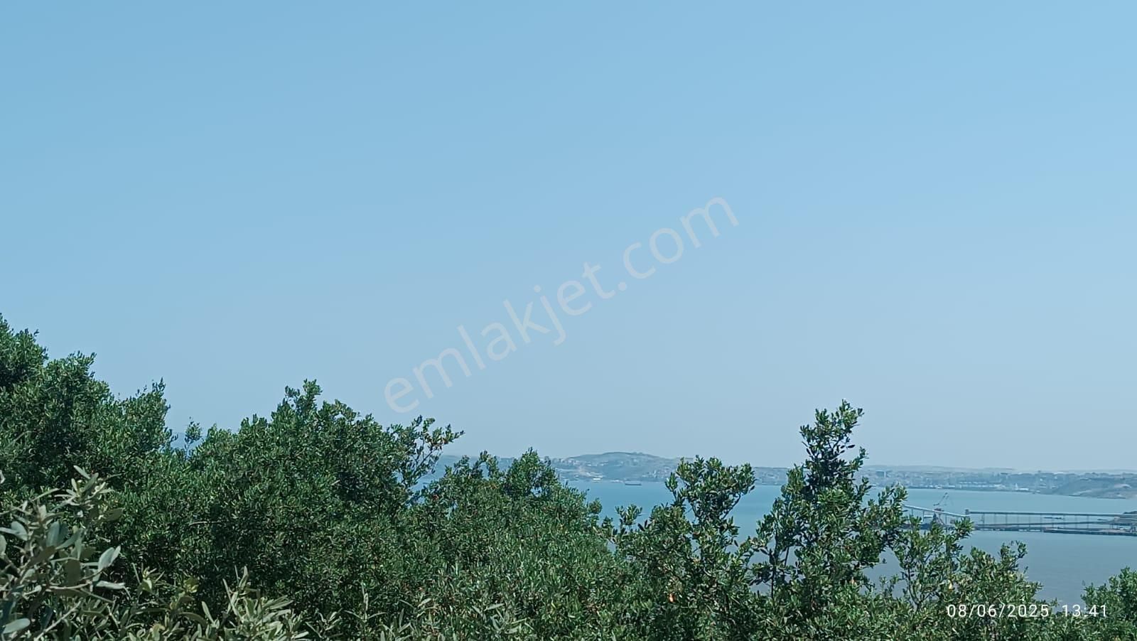 Balıkesir Erdek Hamamlı Mah. 5927 M2 Satılık Zeytinlik Deniz Manzaralı - Görsel 7