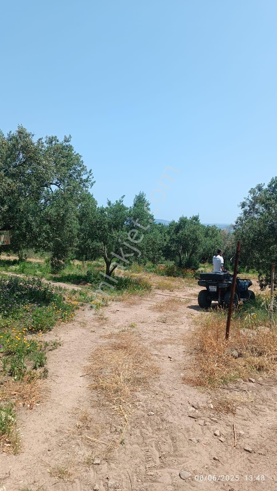 Balıkesir Erdek Hamamlı Mah. 5927 M2 Satılık Zeytinlik Deniz Manzaralı - Görsel 12