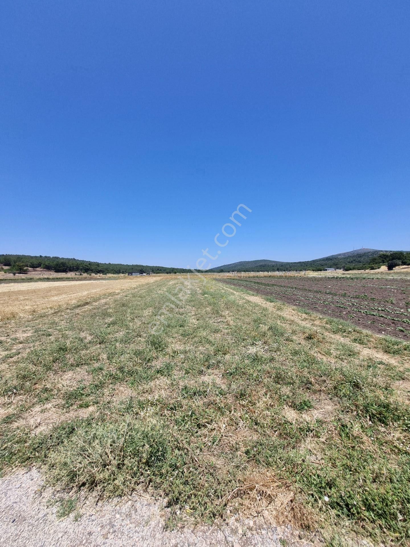 Urla'da Fırsat! Kadıovacık'ta 854 M² Müstakil Yola Cepheli