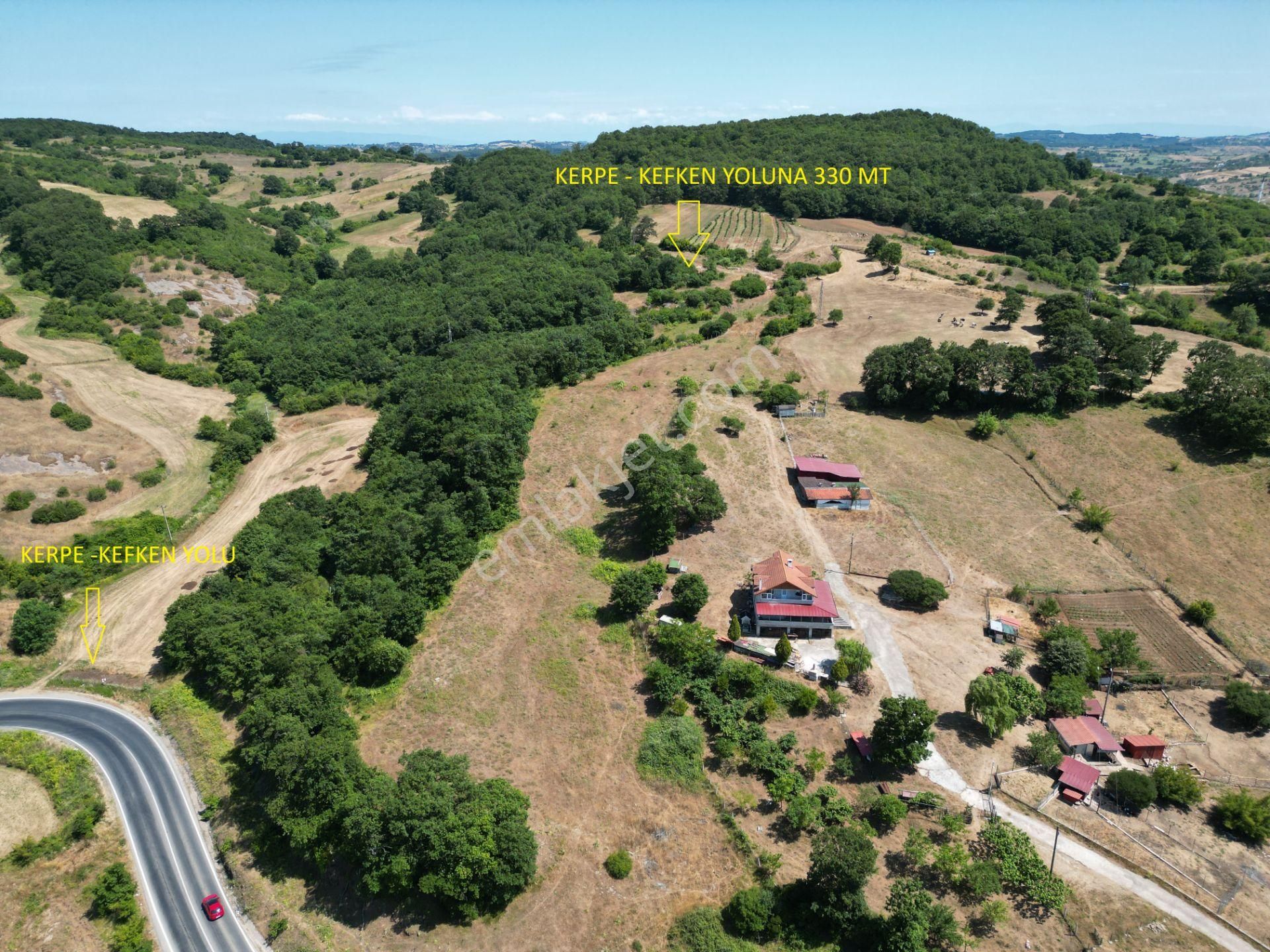 Büyük Bir Devlet Ormanına Cepheli Duraçalı'da 6148 M2 Tarla