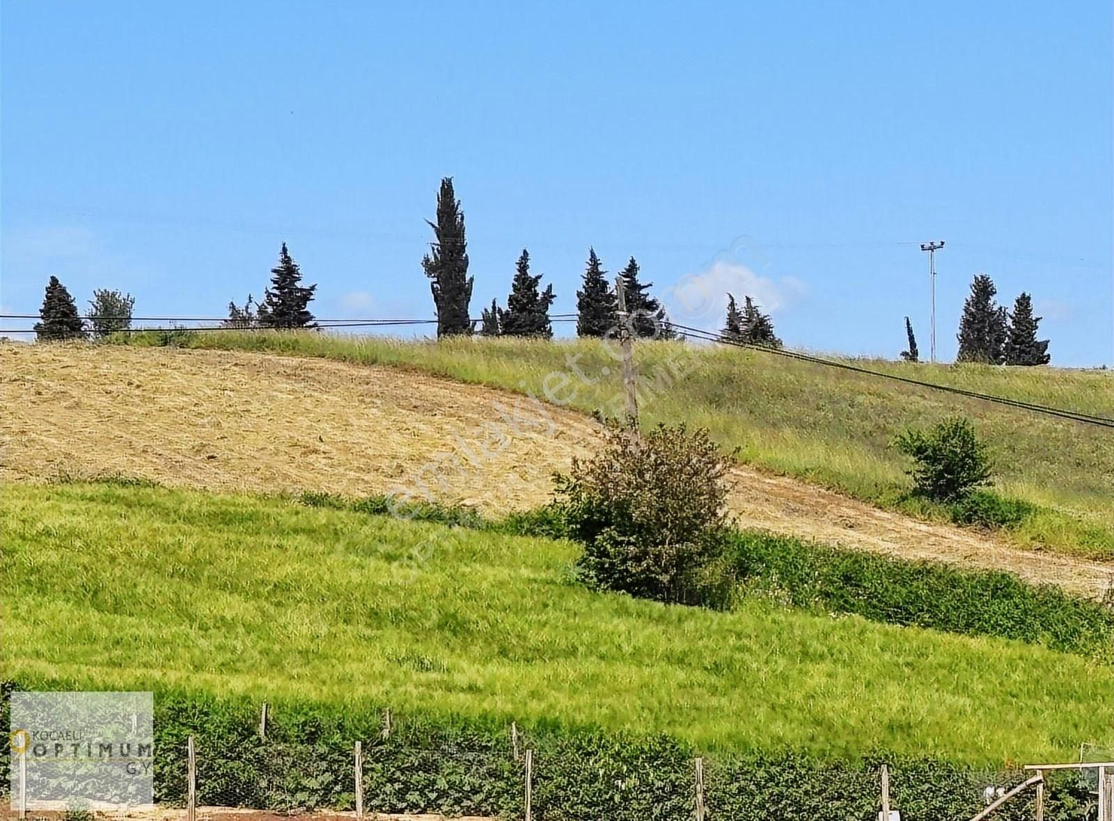 İzmit Akmeşe Yolunda Ana Kavşağa Yakın Mükemmel Konumda Arsa