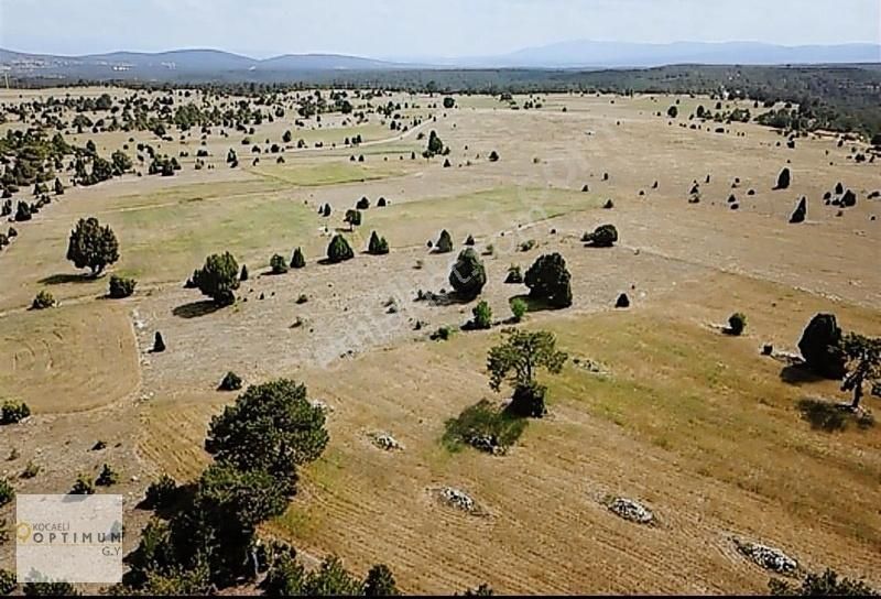 Kütahya Emet Esatlar Köyü 4.452 M2 Yola 2. Parsel, Düz Arazi
