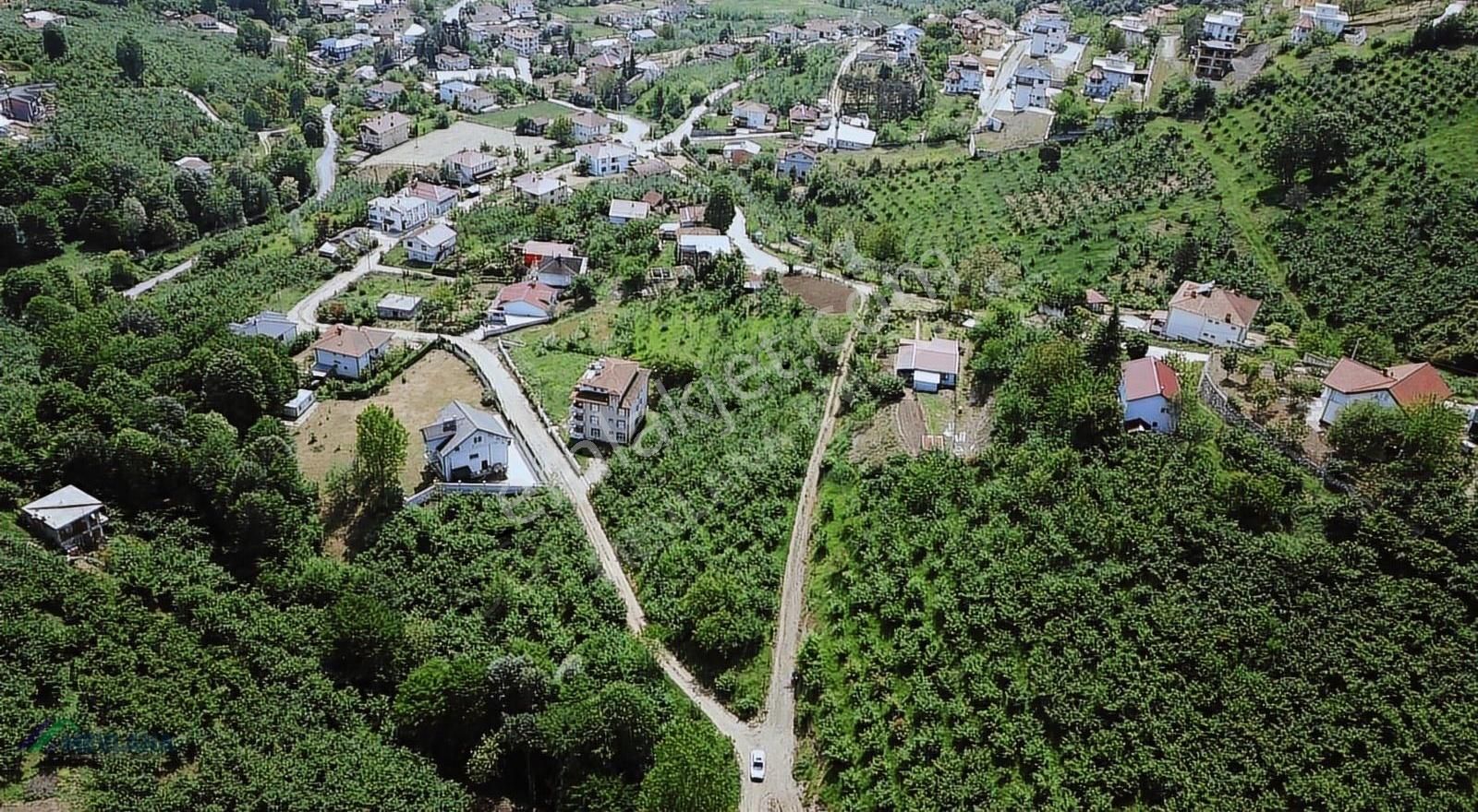 Mevlana Emlaktan Merkeze Yakın, Manzaralı 963 M² Arazi - Görsel 19