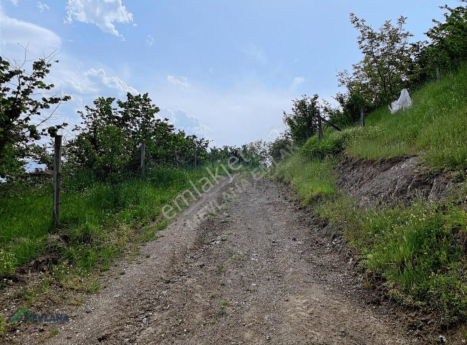 Mevlana Emlaktan Merkeze Yakın, Manzaralı 963 M² Arazi - Görsel 18