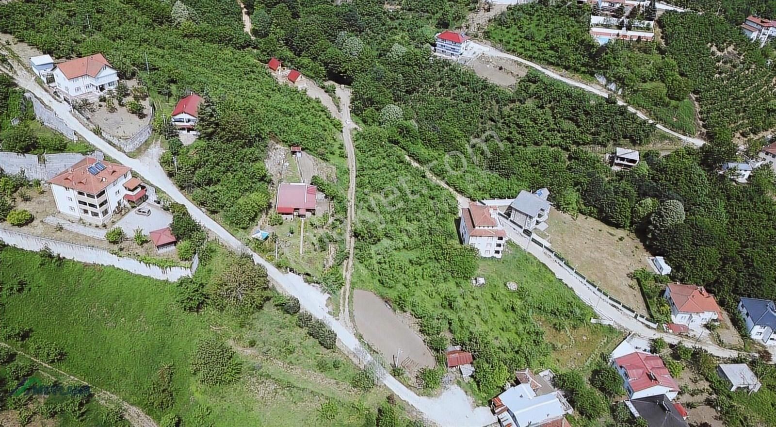 Mevlana Emlaktan Merkeze Yakın, Manzaralı 963 M² Arazi - Görsel 4