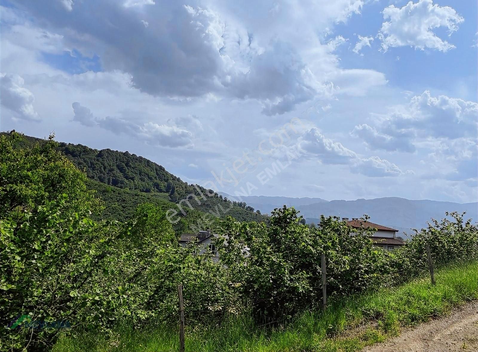 Mevlana Emlaktan Merkeze Yakın, Manzaralı 963 M² Arazi - Görsel 14