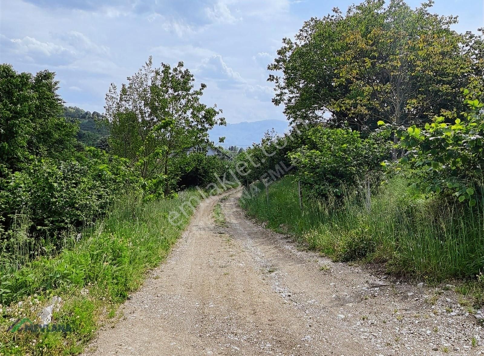 Mevlana Emlaktan Merkeze Yakın, Manzaralı 963 M² Arazi - Görsel 20