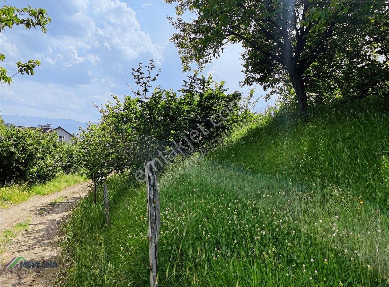 Mevlana Emlaktan Merkeze Yakın, Manzaralı 963 M² Arazi - Görsel 3