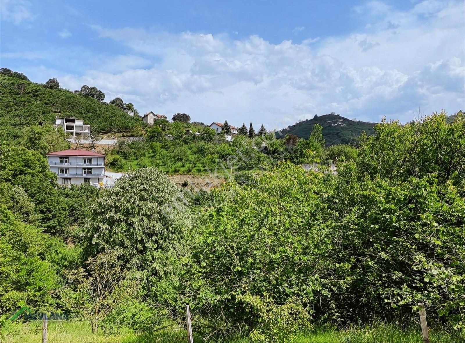 Mevlana Emlaktan Merkeze Yakın, Manzaralı 963 M² Arazi - Görsel 17
