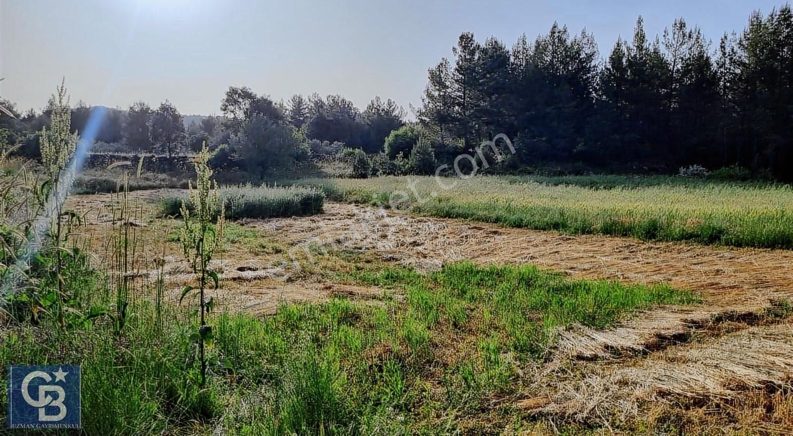 Derinkuyu Fadılca Mah Doğa İçinde 2müstakil Parsel Satılık Tarla