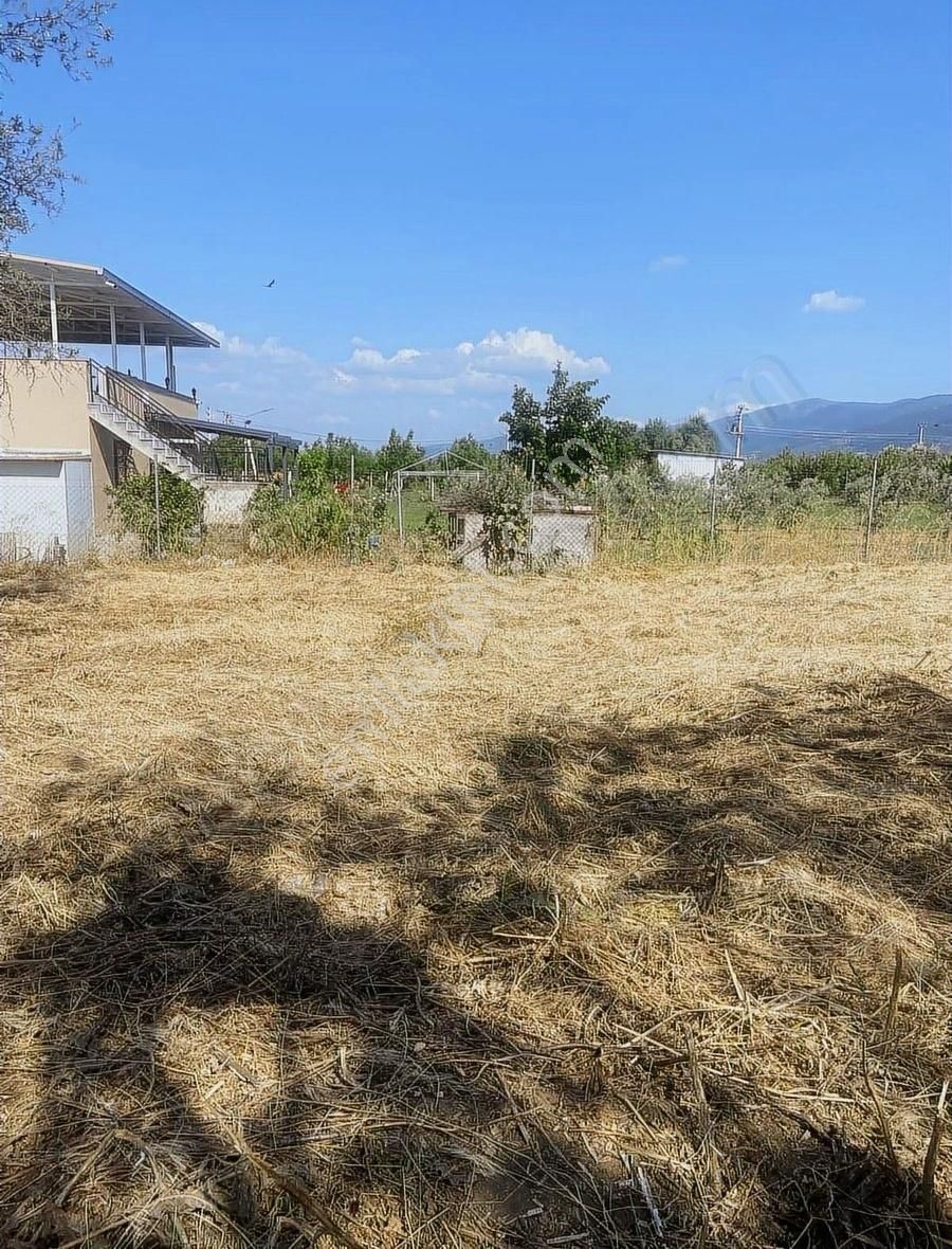 Kemalpaşa Ören Şerbetci Sokak 3111m2 Tek Tapu Bahçe ! - Görsel 14