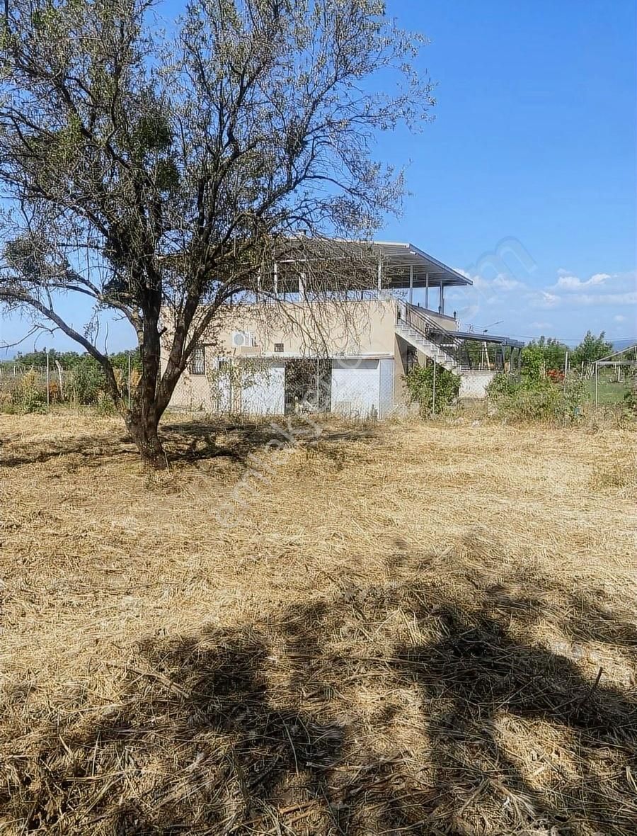 Kemalpaşa Ören Şerbetci Sokak 3111m2 Tek Tapu Bahçe ! - Görsel 11