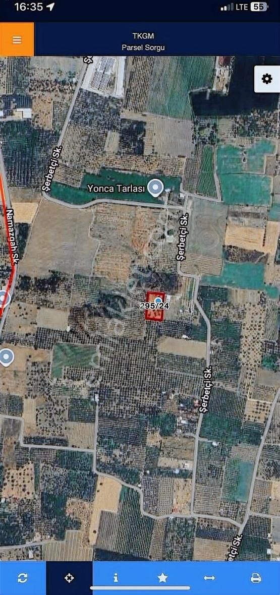 Kemalpaşa Ören Şerbetci Sokak 3111m2 Tek Tapu Bahçe ! - Görsel 17