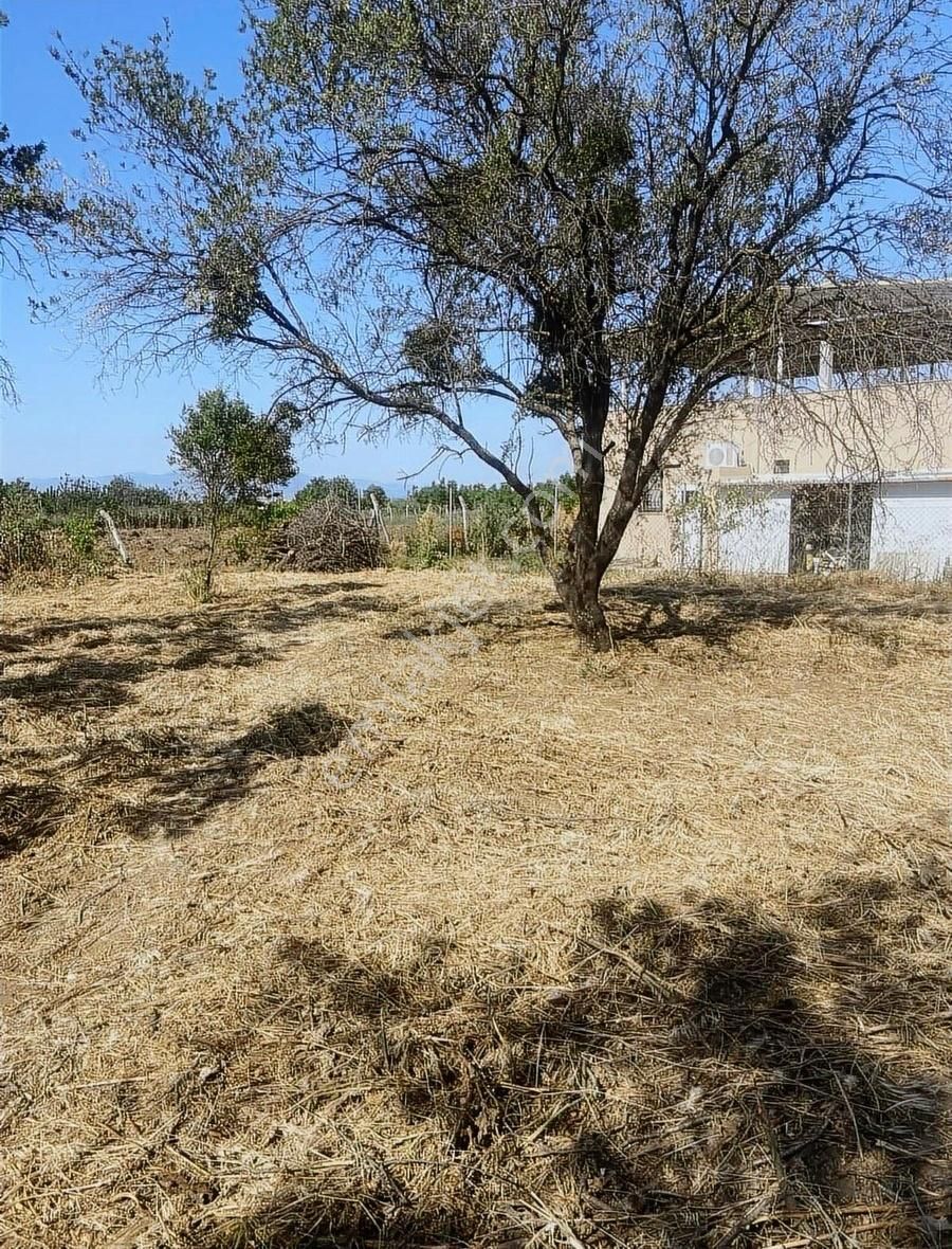 Kemalpaşa Ören Şerbetci Sokak 3111m2 Tek Tapu Bahçe ! - Görsel 4