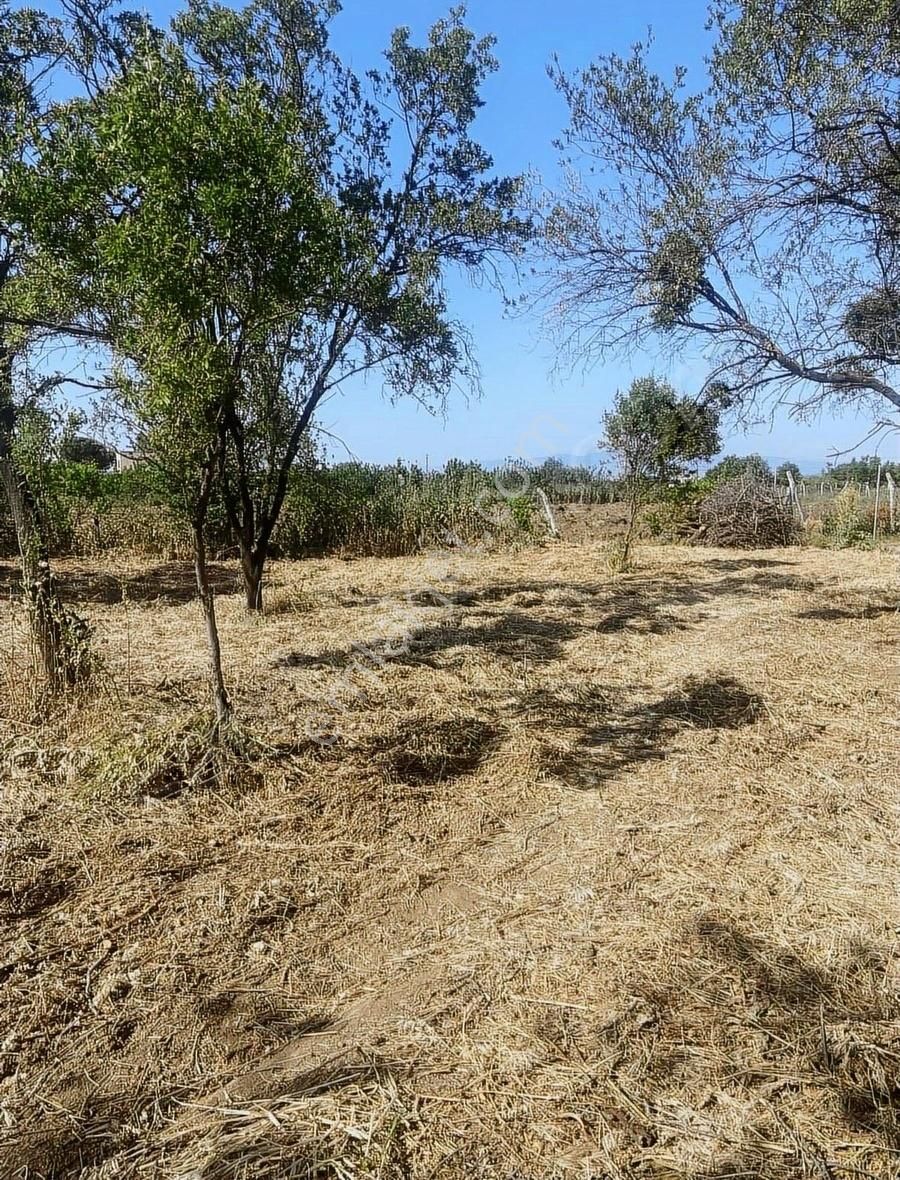 Kemalpaşa Ören Şerbetci Sokak 3111m2 Tek Tapu Bahçe ! - Görsel 18