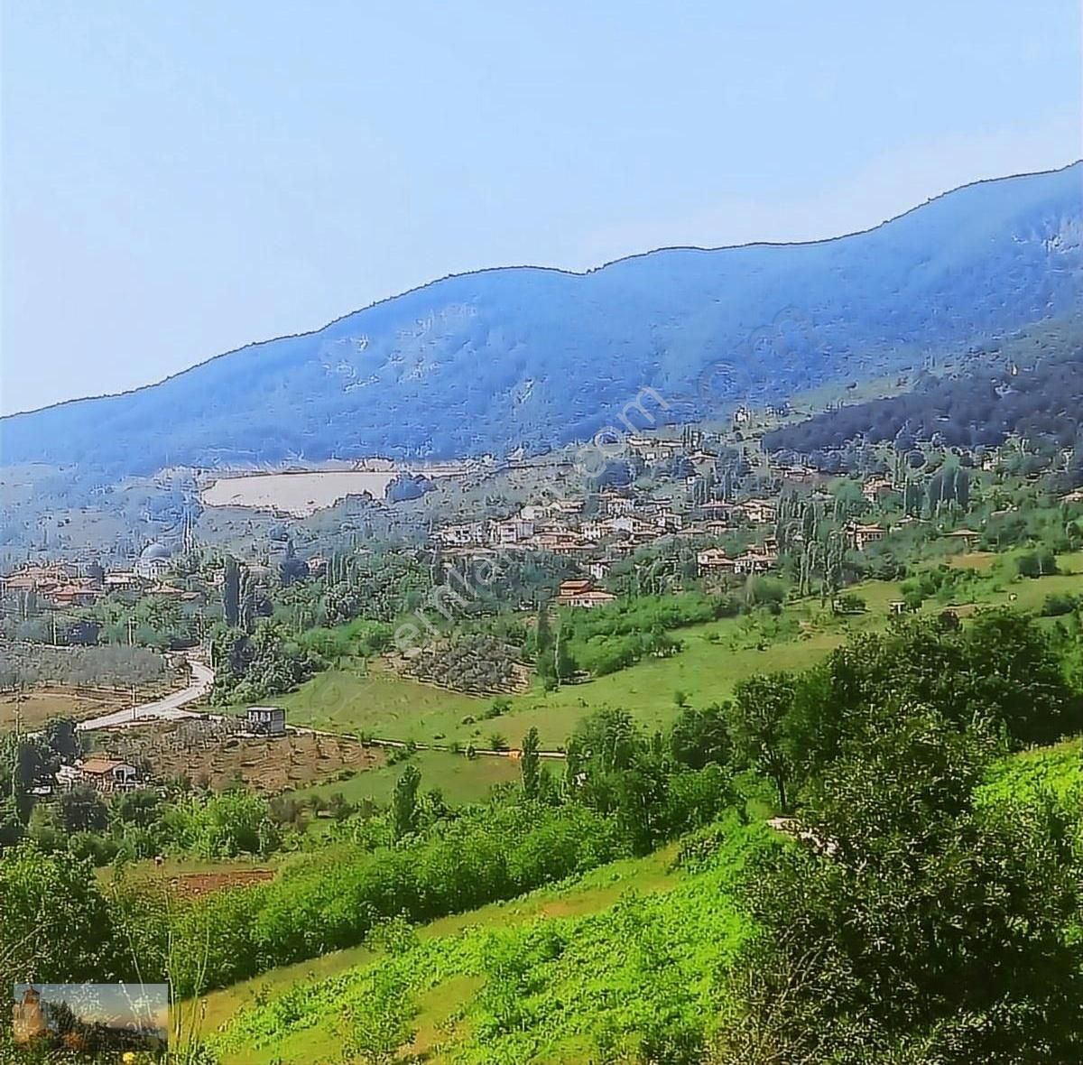 Gemlik Hamidiye Köyünde 7 Dönüm Uygun Fiyata Tarla