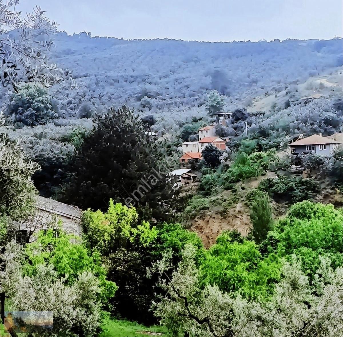 Orhangazi Karsakta 1725m2 Yerleşime+250m+su + Manzara