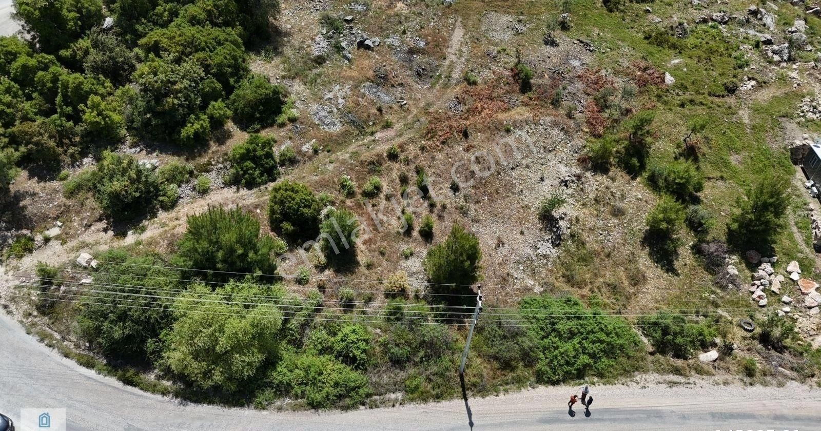 07 Truva Emlak'tan Kumluca Erentepe De Satılık Arazi