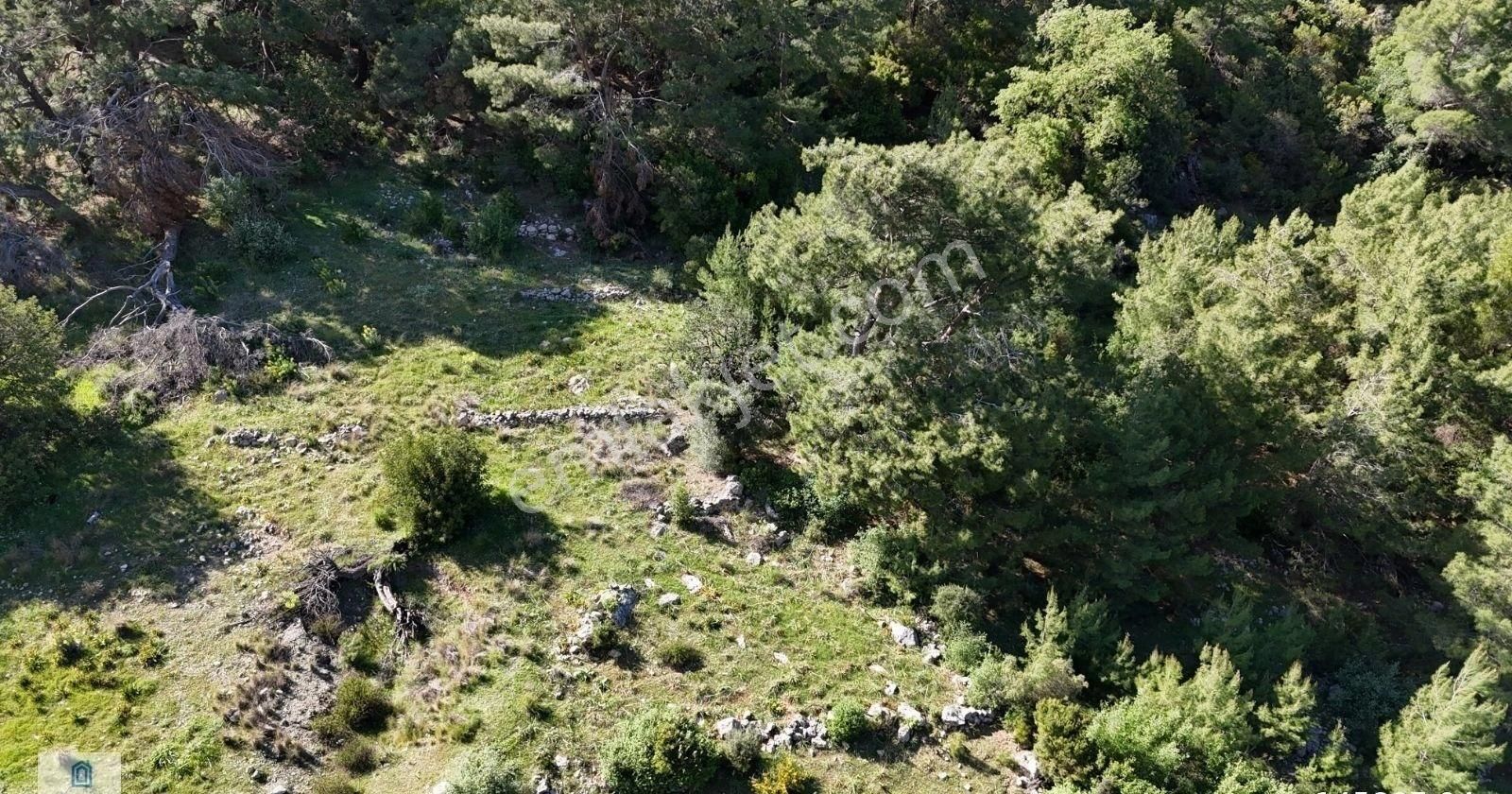 07 Truva Emlak'tan Adresanda Satılık Tarla