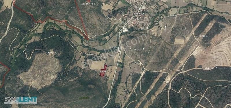 Bay-lent Emlak'tan Altıeylül Taşköy De Satılık Tarla