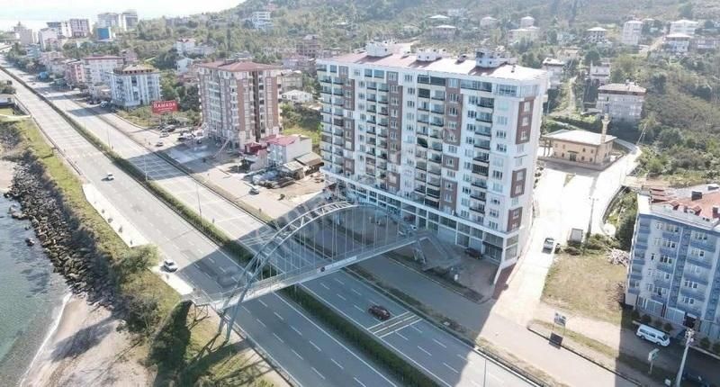 Piraziz Yeni Mahalle Karayoluna Cephe 355 M2