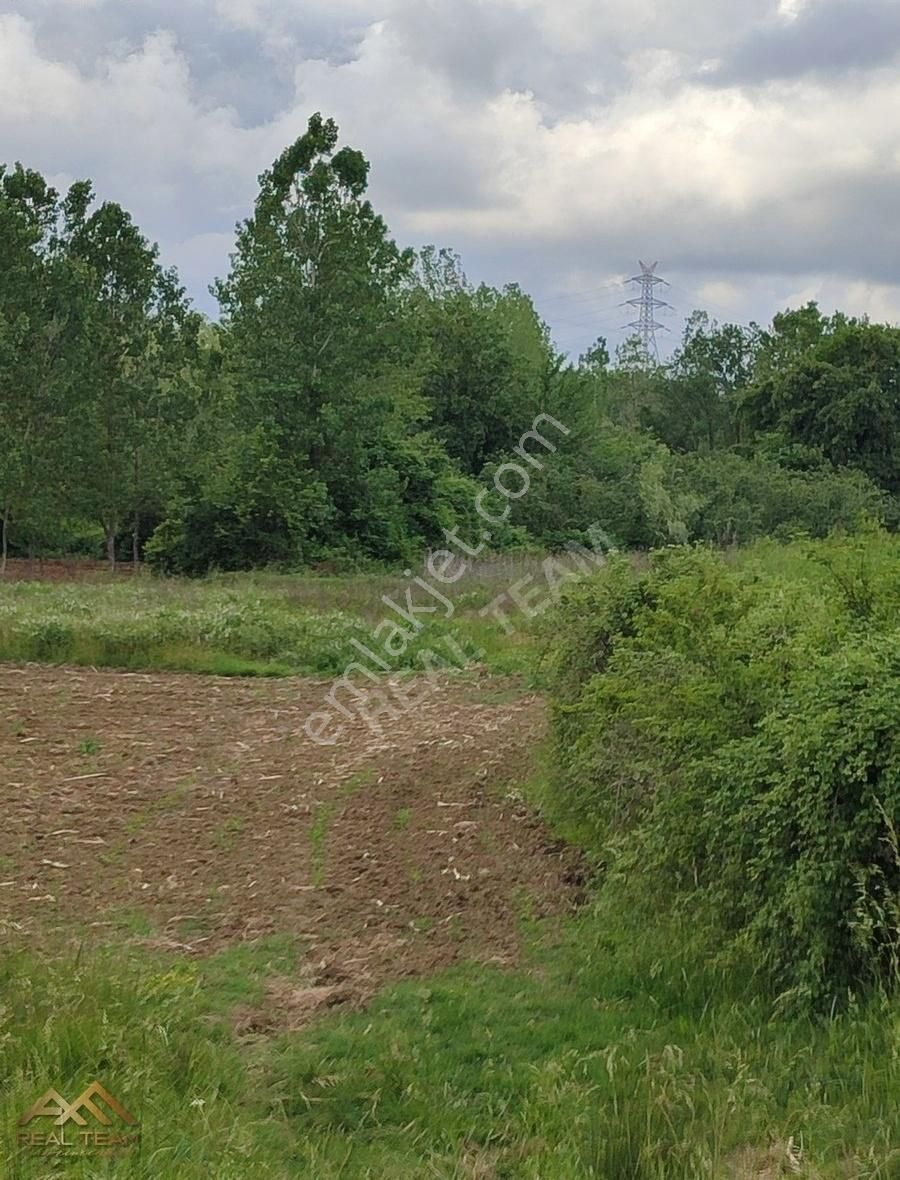 İdda Ediyoruz Organize Sanayı Bölgesinde Bundan Daha Uygunu Yok - Görsel 17