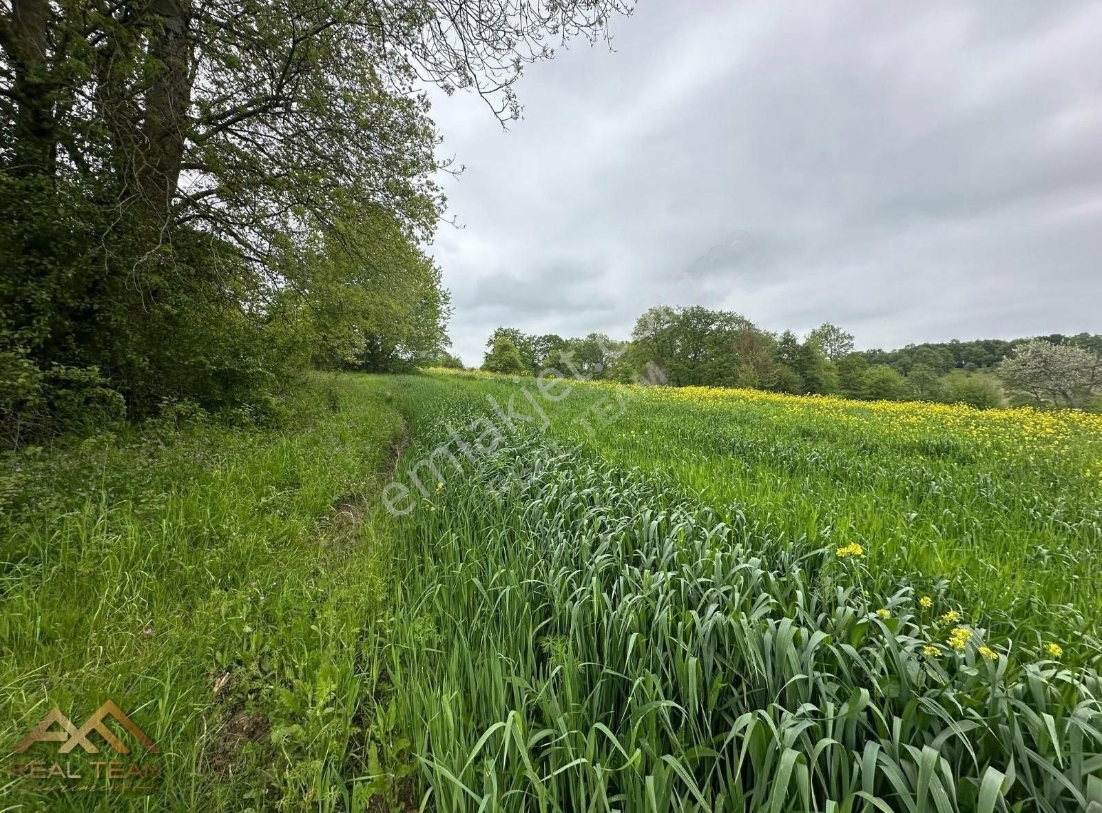 Yatırımlık Kupon Tarla - Görsel 2