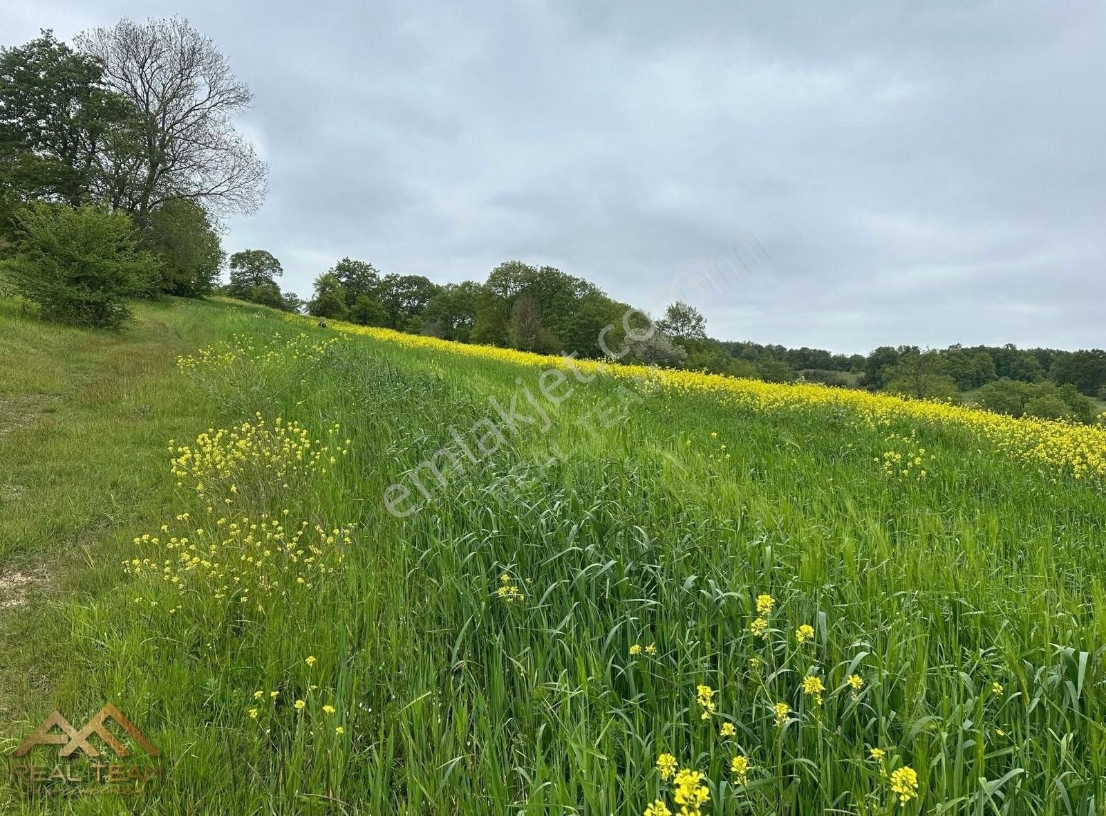 Yatırımlık Kupon Tarla - Görsel 9