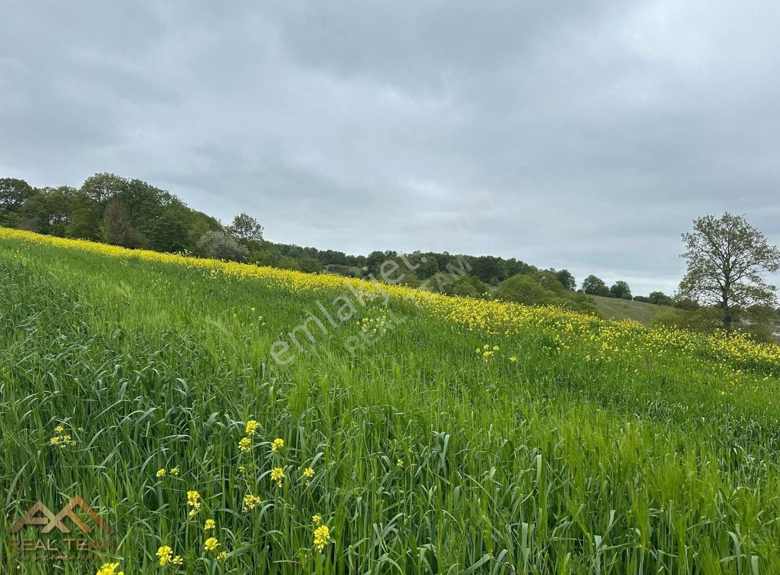 Yatırımlık Kupon Tarla - Görsel 14